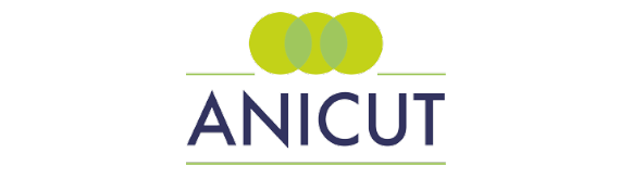 Anicut